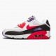 Reps Nike Women's/Men's Air Max 90 Raptors AJ1285 106