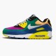 Sale Cheap Nike Women's/Men's Air Max 90 Viotech CD0917 300