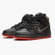 1:1 Nike Men's Dunk SB High Spot Gasparilla 313171 028