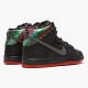 1:1 Nike Men's Dunk SB High Spot Gasparilla 313171 028