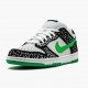 1:1 Nike Women's/Men's Dunk SB Low Loon 313170 011