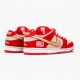 FashionReps Nike Women's/Men's Dunk SB Low Nasty Boys 304292 610