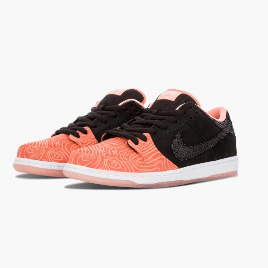 Repsneakers Nike Women's/Men's Dunk SB Low Premier Fish Ladder 313170 603