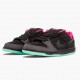 Sneakerreps Nike Women's/Men's Dunk SB Low Premier Northern Lights 724183 063