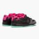 Sneakerreps Nike Women's/Men's Dunk SB Low Premier Northern Lights 724183 063