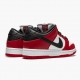 Sale Cheap Nike Women's/Men's SB Dunk Low J Pack Chicago BQ6817 600