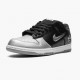 Sale Cheap Nike Women's/Men's SB Dunk Low Supreme Jewel Swoosh Silver CK3480 001