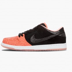 Repsneakers Nike Women's/Men's Dunk SB Low Premier Fish Ladder 313170 603