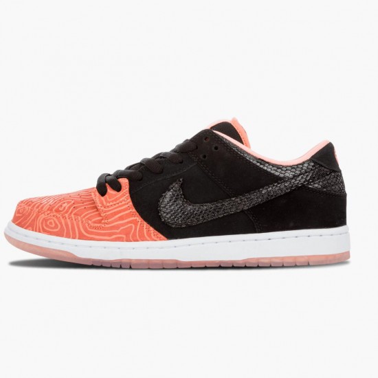 Repsneakers Nike Women's/Men's Dunk SB Low Premier Fish Ladder 313170 603