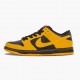 Top Version Nike Women's/Men's Dunk SB Low Iowa 304292 706